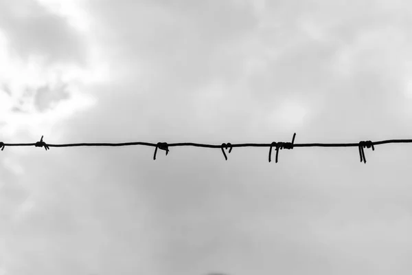Barbed Wire Fence Detail Gray Sky Deprivation Liberty Concept Copy — Stock Photo, Image
