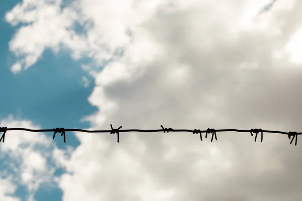 barbed wire against cloudy sky, copy space for text. Imprisonment concept. wire with clusters of short, sharp spikes set at intervals along it, used to make fences or in warfare as an obstruction.