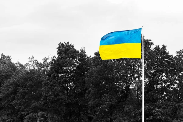 Bendera Ukraina Melambai Dalam Angin Melawan Langit Abu Abu Dan — Stok Foto