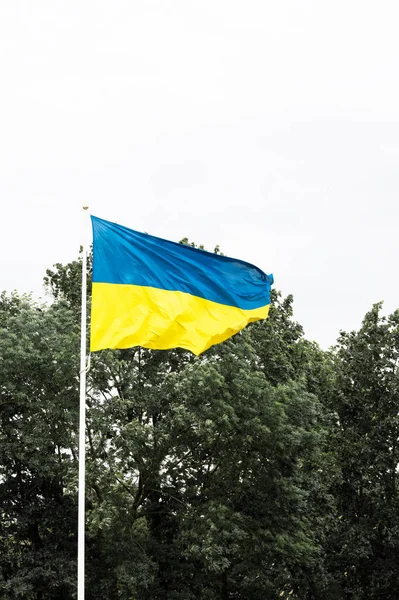 Bendera Ukraina Berkibar Tiang Bendera Melawan Langit Putih Dan Pohon — Stok Foto