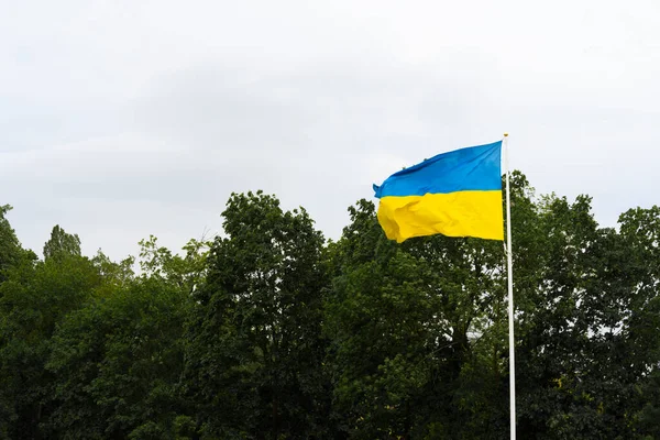 Bendera Nasional Ukraina Tiang Bendera Ukraina Biru Dan Kuning Bendera — Stok Foto