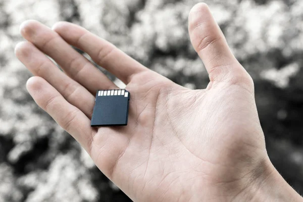 Black Memory Card Various Digital Materials Lies Open Male Hand — Stock Photo, Image