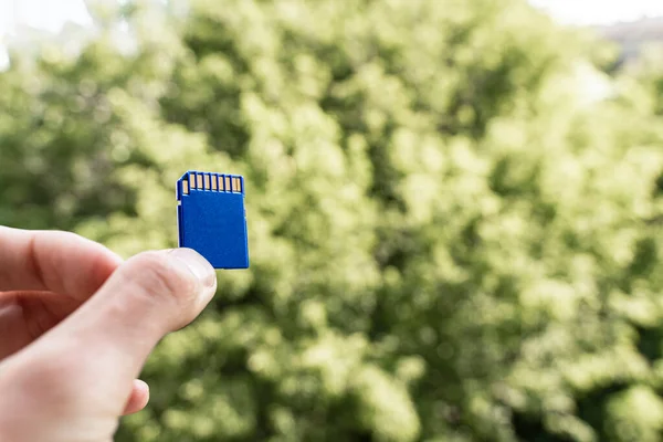 Fingers Hold Memory Card Front Blurred Green Trees — Stock Photo, Image