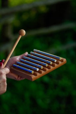 Metal ksilofon bir kadın tarafından tutuluyor. Rüzgar enstrümanı, beden ve ruh için tıbbi terapi. Yüksek kalite fotoğraf