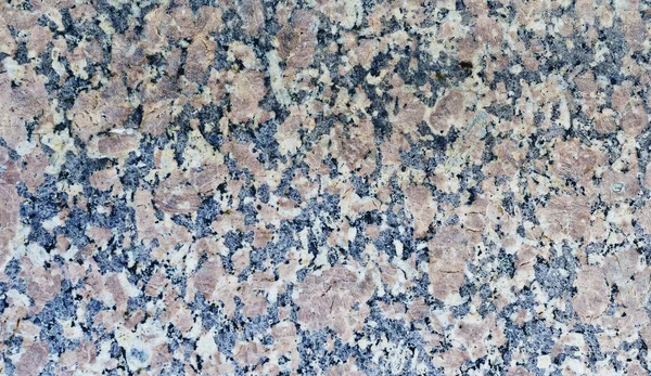 Fern, bitki, flora, doku