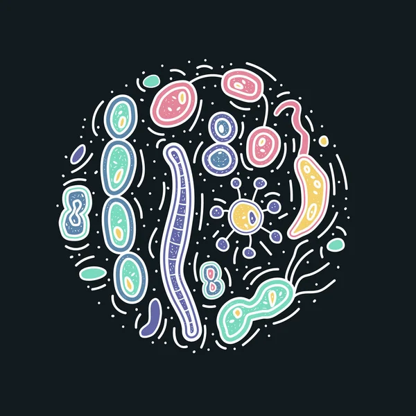 Las células bacterianas establecen la composición. Ilustración vectorial . — Vector de stock