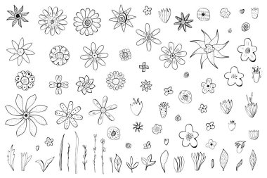 Çiçek kompozisyon doodle tarzı. Vektör halat.