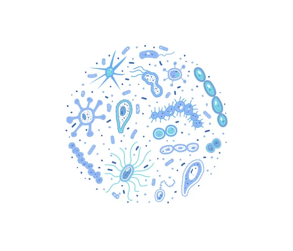 Les cellules bactériennes définissent la composition. Illustration vectorielle . — Image vectorielle