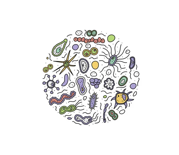 Conjunto de células bacterianas. Ilustración vectorial . — Vector de stock