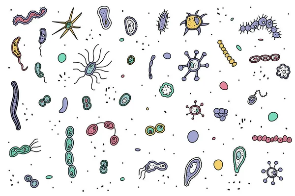 Las células bacterianas establecen la composición. Ilustración vectorial . — Vector de stock