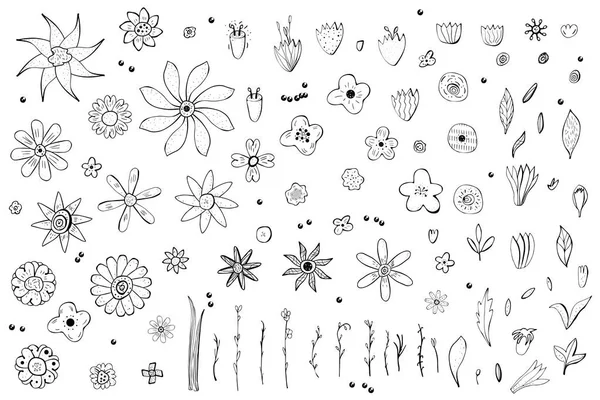 Složení květiny ve stylu doodle. Ilustrační vektorové. — Stockový vektor