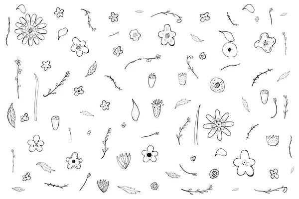 Složení květiny ve stylu doodle. Ilustrační vektorové. — Stockový vektor