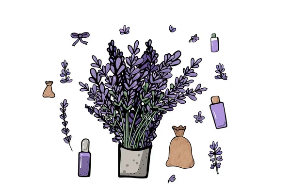 Conjunto de composición de lavanda en estilo doodle . — Vector de stock