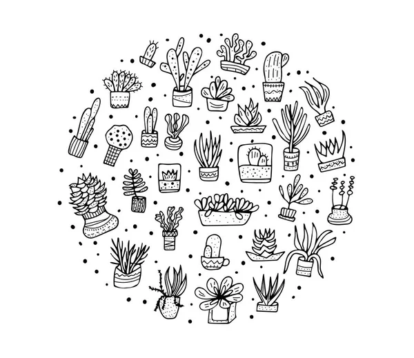 Sukkulenten im Doodle-Stil. Vektorillustration. — Stockvektor