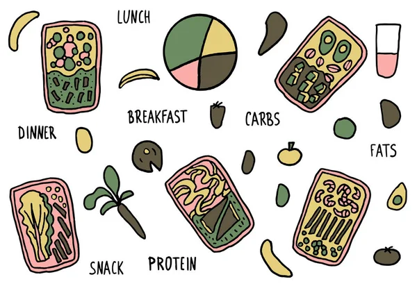 Conjunto de vetores alimentares saudáveis. Caixas de almoço com refeição . —  Vetores de Stock