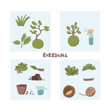 Kokedama hazır. Doodle vektör asya bitki koleksiyonu
