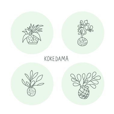 Kokedama hazır. Doodle vektör asya bitki koleksiyonu
