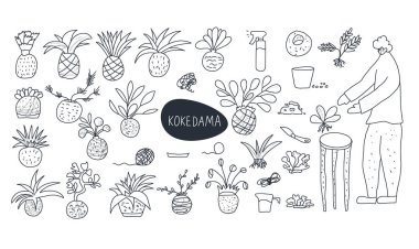 Kokedama hazır. Doodle vektör asya bitki koleksiyonu