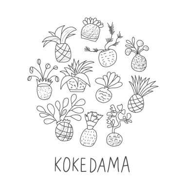 Kokedama hazır. Doodle vektör asya bitki koleksiyonu
