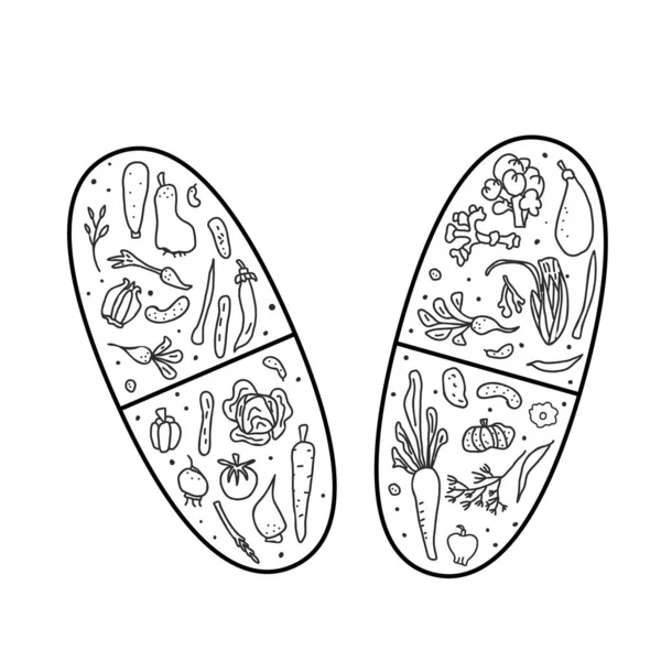 Konsep pil vitamin dengan sayuran. Desain vektor . - Stok Vektor