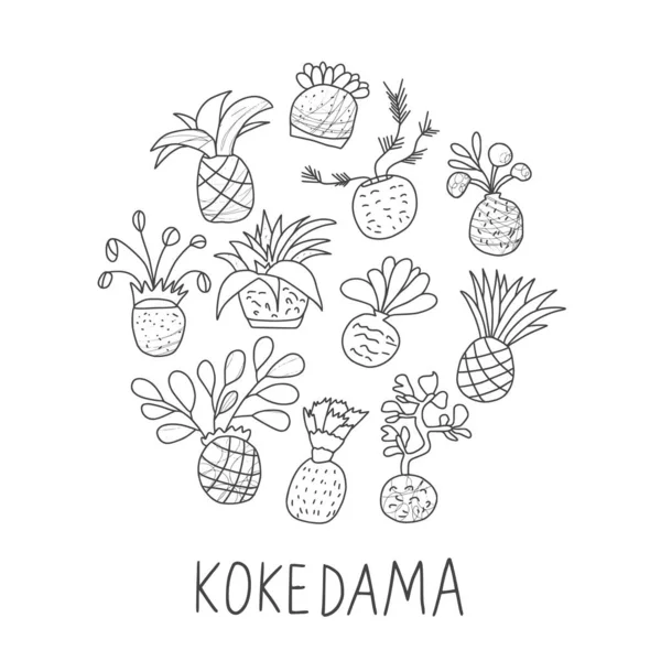 Set de Kokedama. Doodle vector asiático colección de plantas — Archivo Imágenes Vectoriales