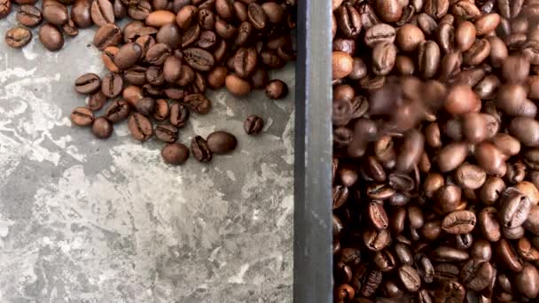 Falling roasted coffee beans on grey background — Stock Video