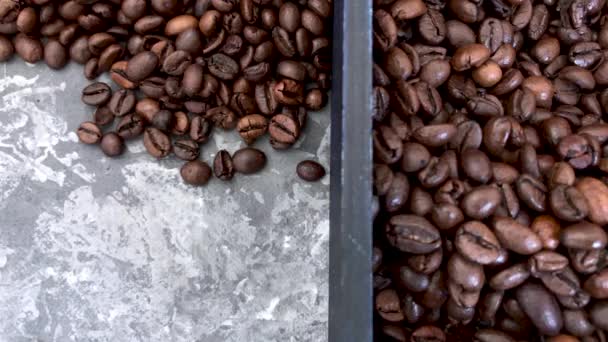 Falling roasted coffee beans on grey background — Stock Video