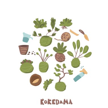 Kokedama hazır. Doodle vektör asya bitki koleksiyonu