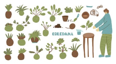 Kokedama hazır. Doodle vektör asya bitki koleksiyonu
