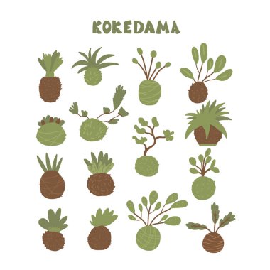 Kokedama hazır. Doodle vektör asya bitki koleksiyonu