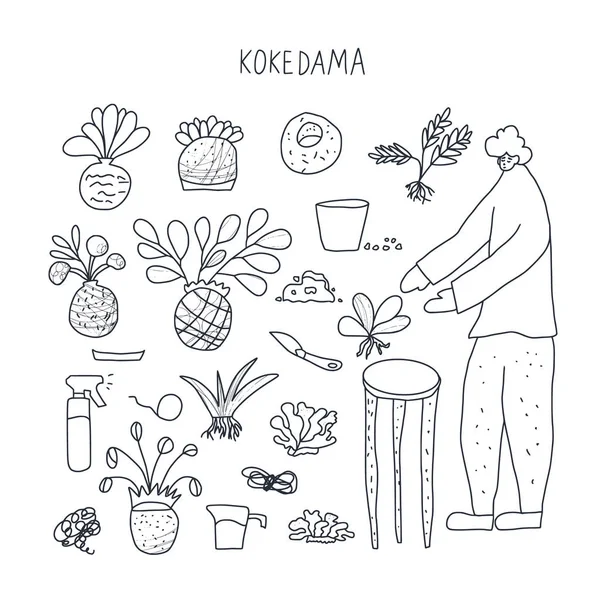 コケダマセット。落書きベクトルアジア植物コレクション — ストックベクタ