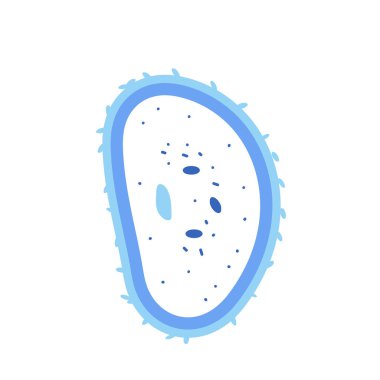 Bakterias hücre vektörü çizim biçimi