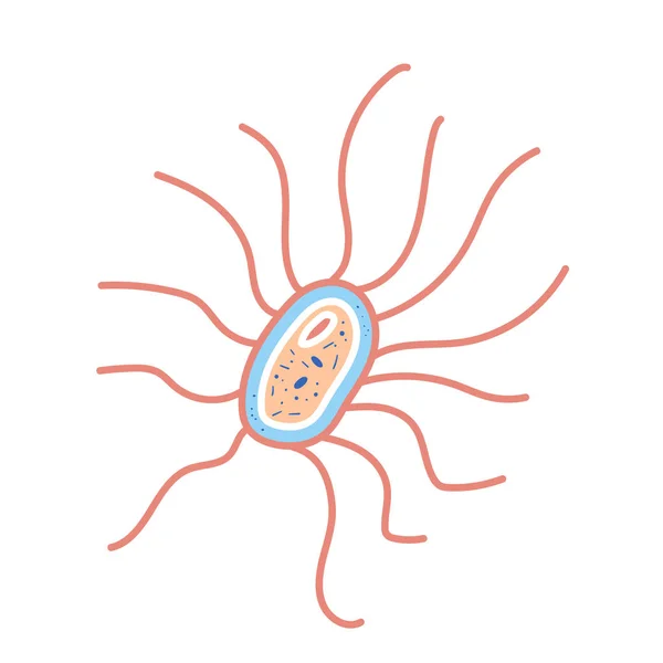 Cellule batteriche Illecitazione vettoriale in stile doodle — Vettoriale Stock