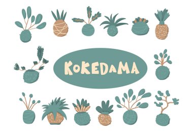 Kokedama hazır. Doodle vektör asya bitki koleksiyonu