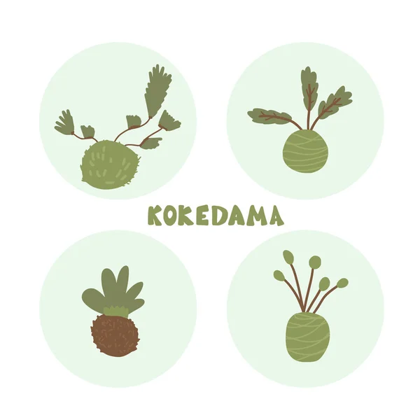 Kokedama hazır. Doodle vektör asya bitki koleksiyonu