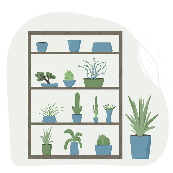 屋内植物と棚 鉢植えのセット 手描きの観葉植物のコレクション ベクトル平図 — ストックベクタ