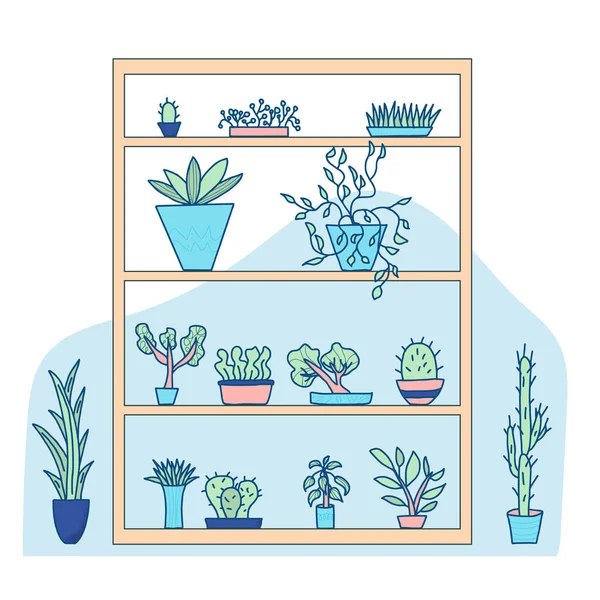 Kapalı mekanlı bitkilerle dolu bir raf. Bir dizi saksı evi bitkisi. El yapımı ev bitkileri koleksiyonu. Vektör karalama çizimi.