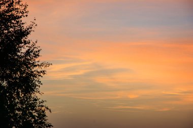 güzel şık ateşli gün batımı
