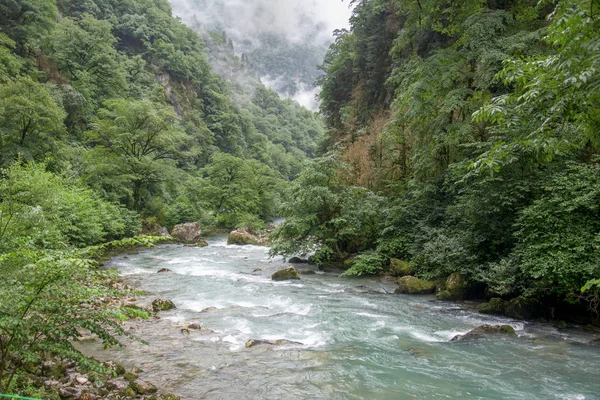 dağ nehir dağlık güçlü bir akım ile.