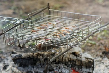 Balık somon ızgara tehlikede