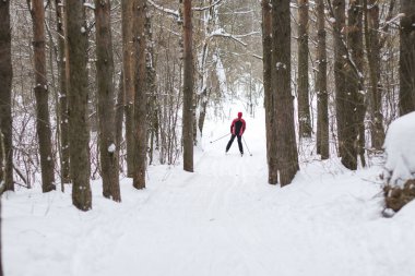 ormanda kışın kayak kaçak bir tepeden Kayak