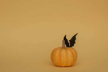 Festival turuncu turuncu bir arka plan üzerinde üst sadık sopasıyla kabak. minimalizm. kopya alanı