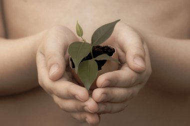 Dünya günü dünya gezegeninde uluslararası bir tatildir. Çocuk elinde yumurta kabuğu tutar hangi toprak ve bir bitkinin yalnız Bush.