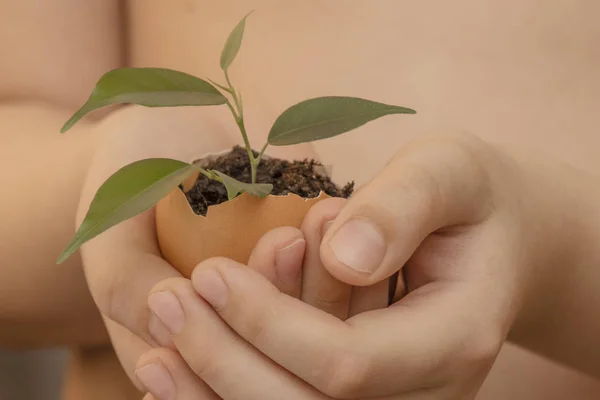 Pozemský den je mezinárodní svátek na planetě Zemi. Dítě drží v ruce skořápku od vajíčka, v němž země a osamělý Bush z továrny. — Stock fotografie