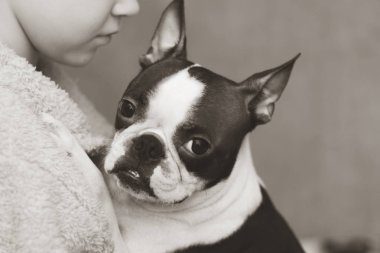 Çocuk önemser, seviyor ve şefkatle onun sadık arkadaşı Boston Terrier köpek kucaklar. Siyah beyaz fotoğraf.