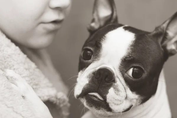 Pojken bryr sig, älskar och ömt omfamnar sin hängivna vän Boston terrier hunden. Svartvitt foto. — Stockfoto