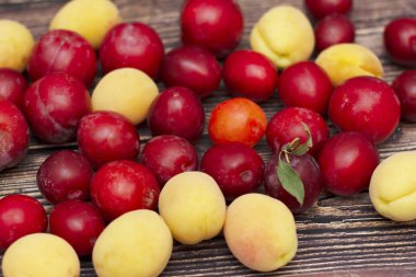 Sonbahar kırmızı ve sarı erik ahşap bir arka plan üzerinde dağınık.