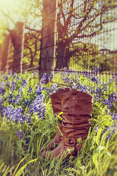 Cowboy stivali in Texas bluebonnets — Foto Stock