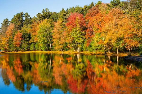 Riflessioni fogliari autunnali nello stagno in una giornata di sole autunnale — Foto Stock