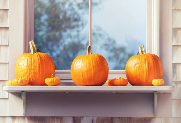 Hermosa exhibición al aire libre de calabazas en el alféizar de ventana —  Fotos de Stock